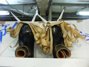 �y���W�����{�s�I�j�R��2008 �����̌C�X����_8